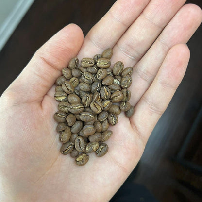 Colombia Peaberry