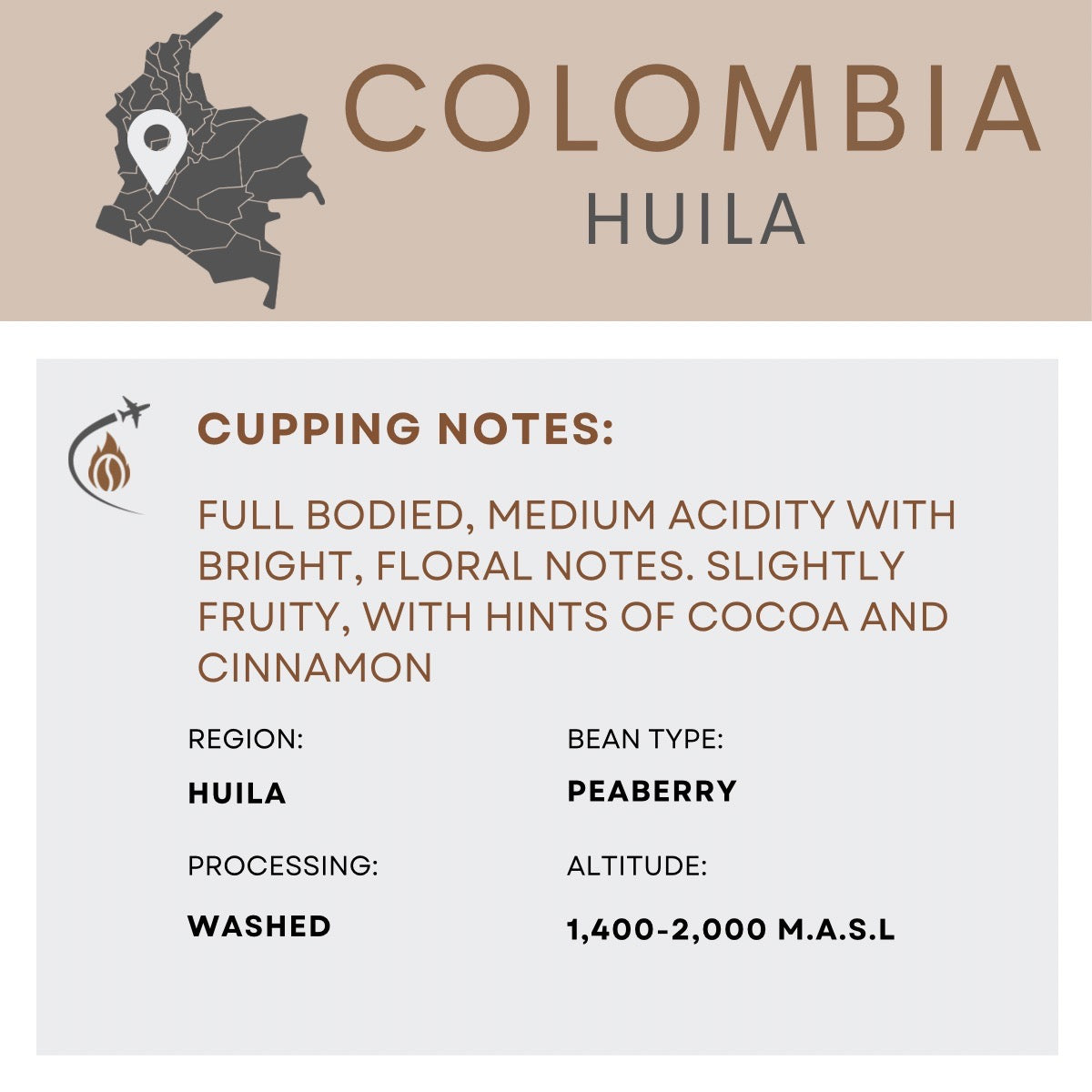 Colombia Peaberry